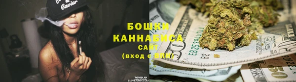 мдпв Волоколамск