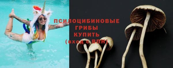 мдпв Волоколамск