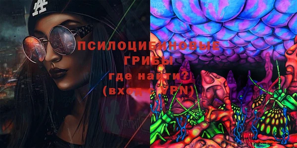 мдпв Волоколамск