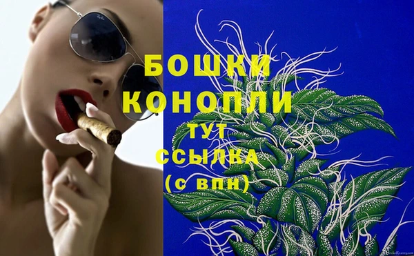 мдпв Волоколамск