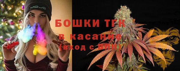 мдпв Волоколамск